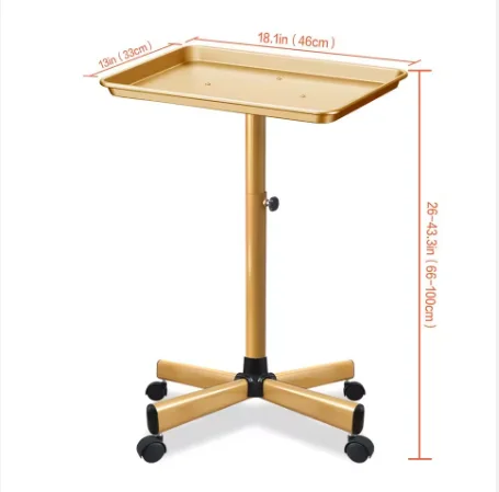 

Hair Salon Trolley Tray Hairdressing Salon Working Trolleys Cart Holder Gold Salon Furniture Mobile Kitchen Modern Things