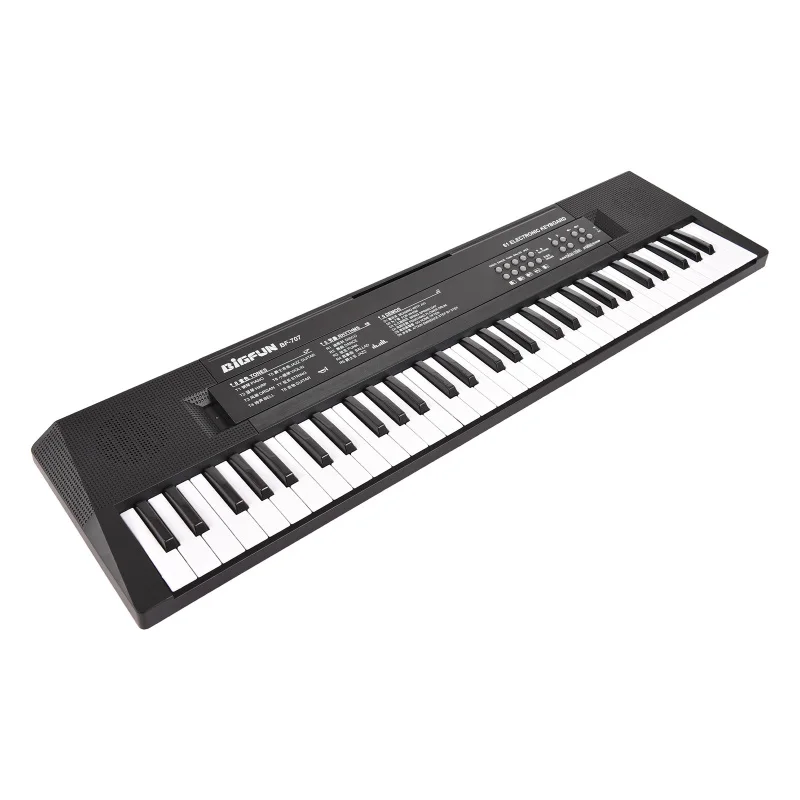 

BIGFUN 61 Key Electronic Keyboard Piano Dual Speakers 8 Tones 5 Rhythms 5 Drums Percussions 6 Demos Musical Instrument
