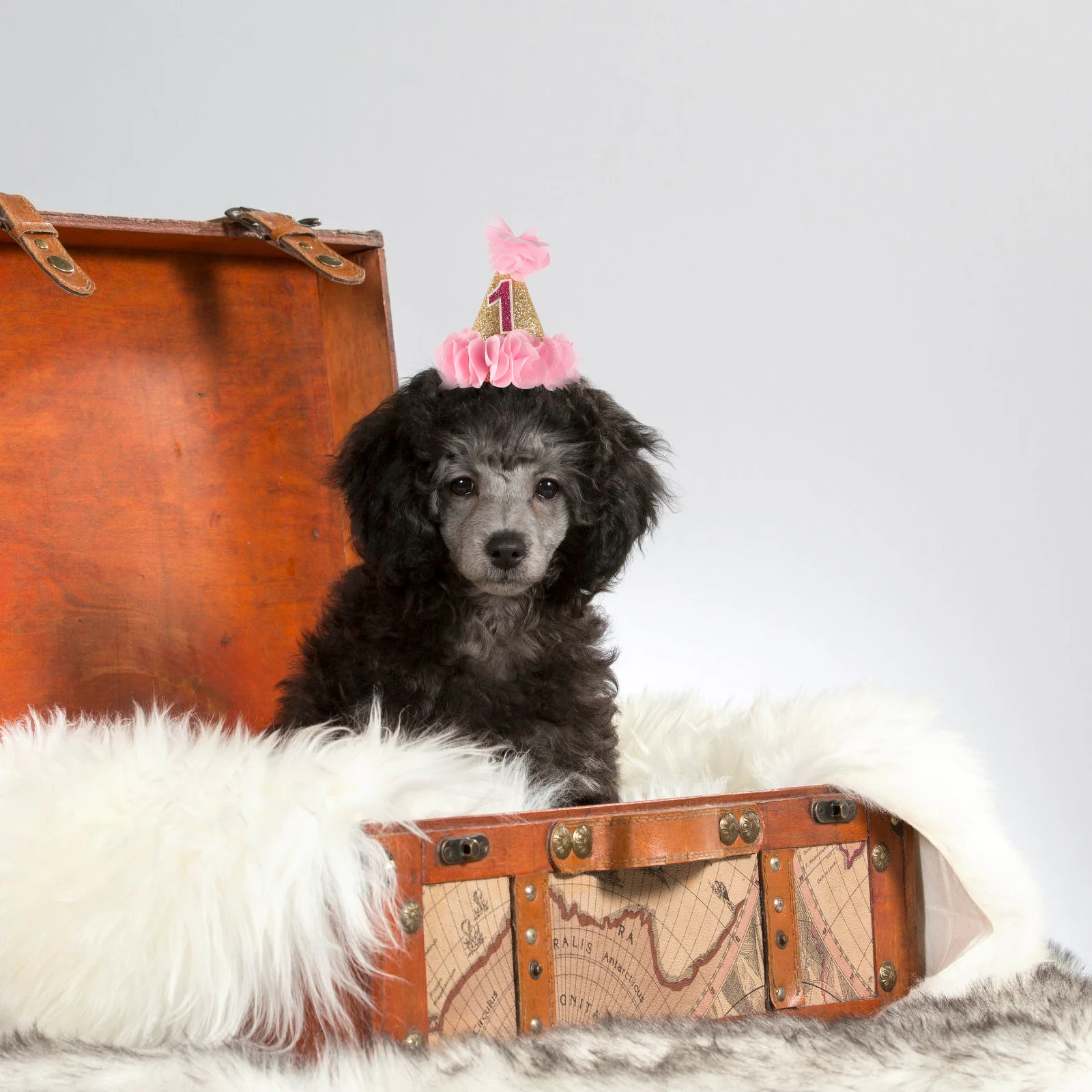 

Dog Birthday Hat Cosplay Headwear for Dogs Cats Party with Pattern Design Pet
