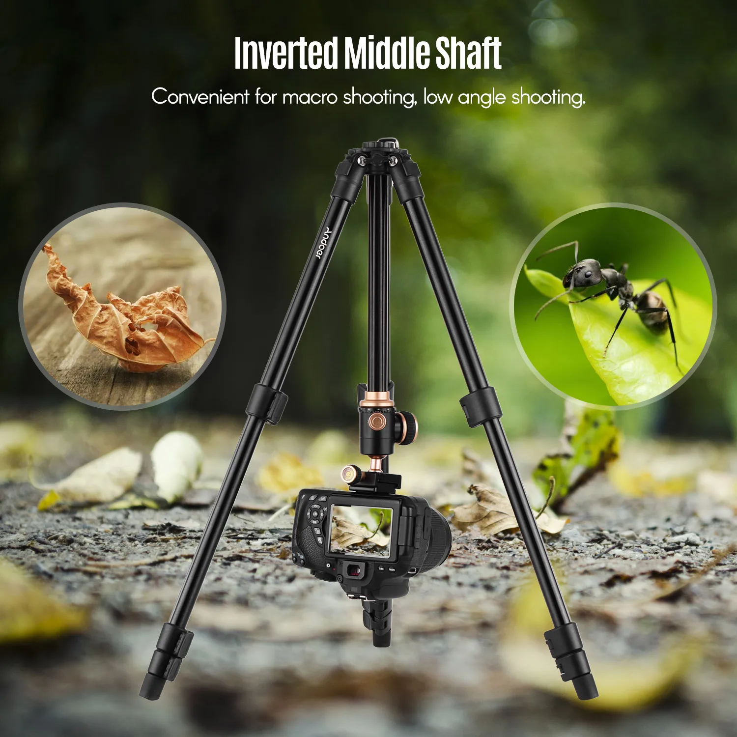 Andoer Q160SA Camera Tripod Complete Tripods with Panoramic Ballhead Bubble Level Adjustable Height Portable Travel Tripod for D