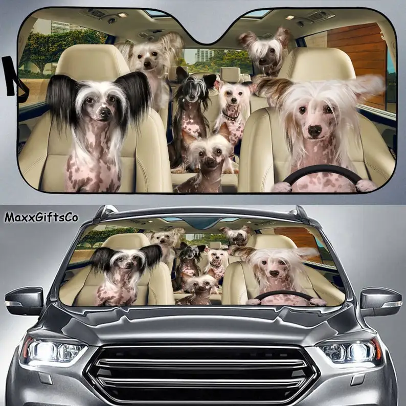 

Chinese Crested Car Sun Shade, Chinese Crested Windshield, Dogs Family Sunshade, Dog Car Accessories, Car Decoration, Gift For D