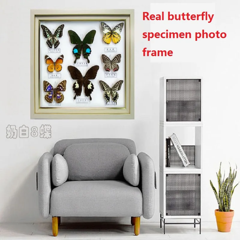 Real Butterfly Specimen Picture Frame Insect Three-dimensional Rectangular Photo Frame Modern Simple Craft Decoration Teaching