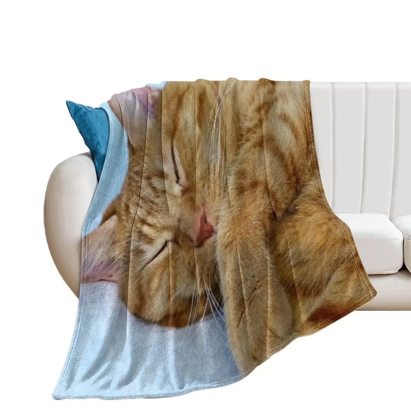 

Sleeping Cat Throw Blanket Hairys halloween Thins Blankets