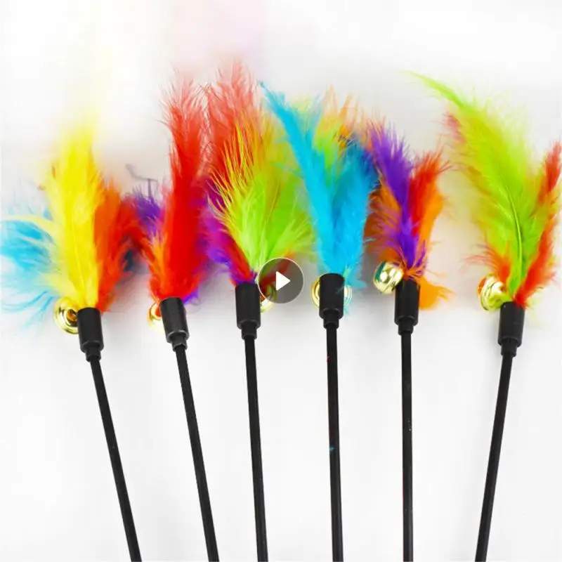 Feather Toys giocattolo interattivo Cat Teaser Teaser Stick Pet Toy Cat Toys Bell Feather Toys Cat Teasing Stick