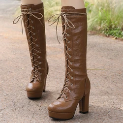 Women's Knee High Boots Platform Sexy Lace-up Winter Warm Shoes Black Brown Block Heeled Long Boot Ladies Shoes Big Size 48