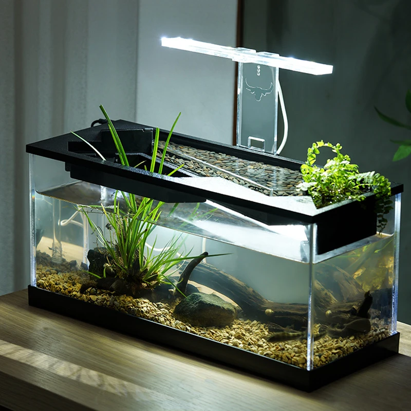 

Modern Eco-Friendly Plastic Desktop Aquarium Small Rectangular Tank With Feeding And Heating Features For Home Use Box Packed