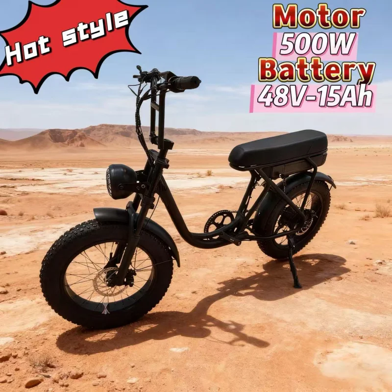 

16 Inch Dual Drive Beach Electric Bike, 48V-15ah Battery Adult City Commuting Electric Moped 500W Brushless Motor Electric Bike