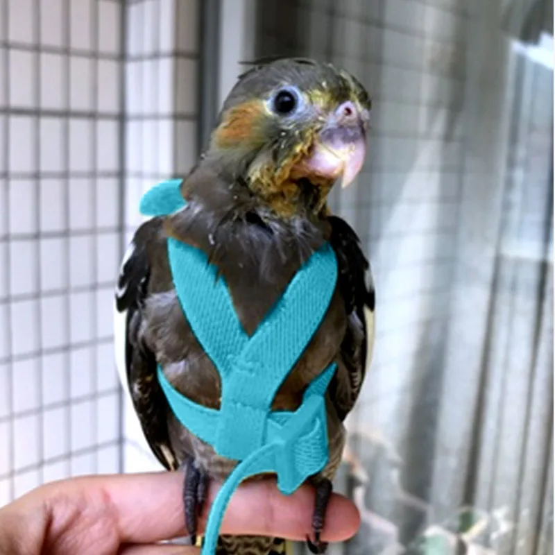 Pet Bird Harness Adjustable Parrot Harness Anti-bite Outdoor Training Flying Rope for Budgerigar Lovebird Cockatiel