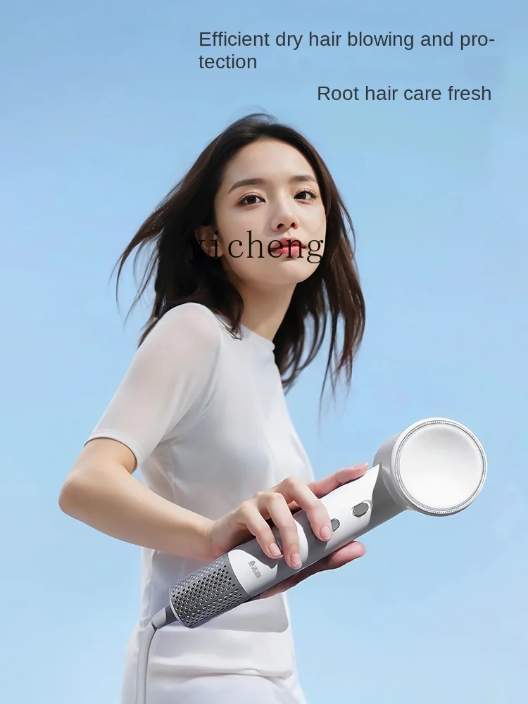 ZF Hair Dryer Household Hair Care Strong Wind Speed Dry High Power Constant Temperature Hair Dryer