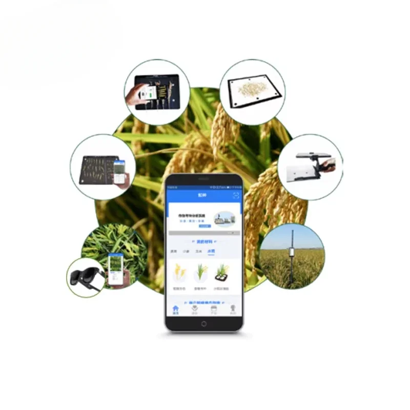 Rice Panicle Shape Study System Rice Quality Analyzer