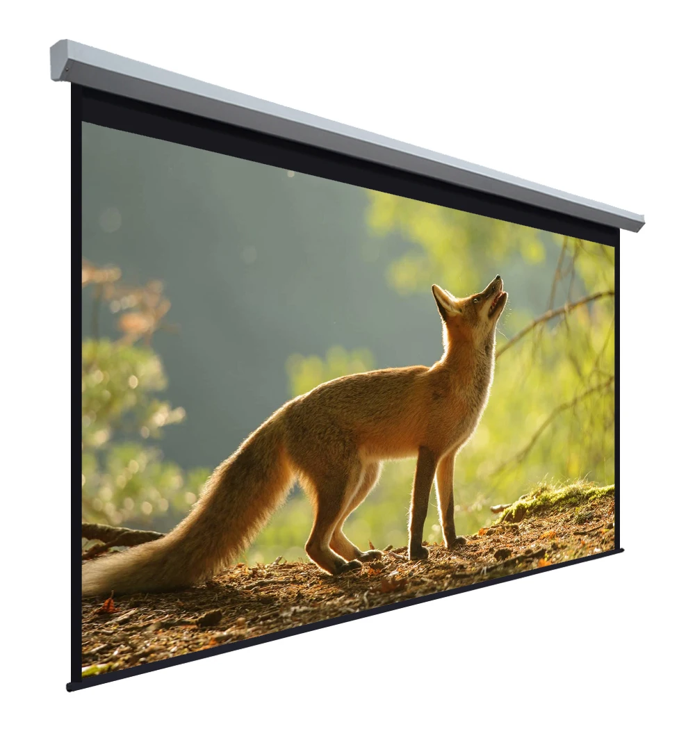 

250 Inch 16:9 Large Motorized Projection Screen Electric High Tubular Motor Matte White HD Electric Projector Screen