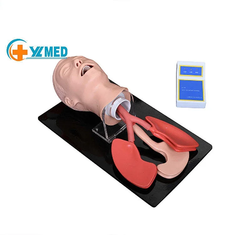 7kg PVC Adult Medical Training Model for Oral Nasal Cannulation Practice