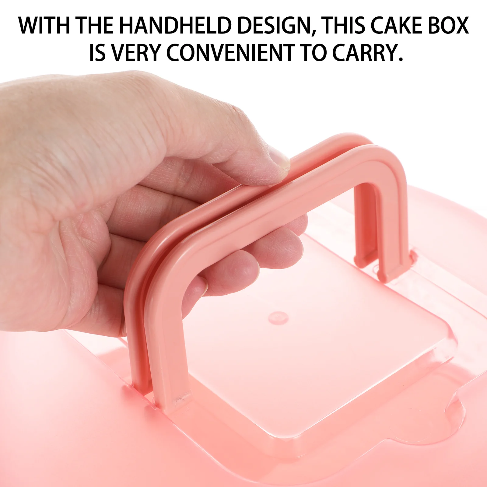 Cake Box Container Round Storage Food Packaging Boxes Cheesecake Packing Pp Polypropylene Carrier Travel Circle Tray