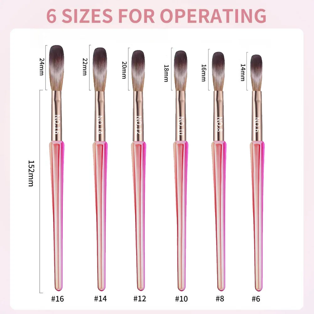 6PCS Nail Art Brushes Set - 6/8/12/14/16 Oval Shaped Acrylic Powder Nail Design Tools for Professional Manicure DIY