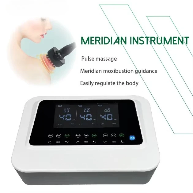Meridian Bioelectric Wellness Instrument CHI Vitality Electrotherapy Machine for Meridian Dredging
