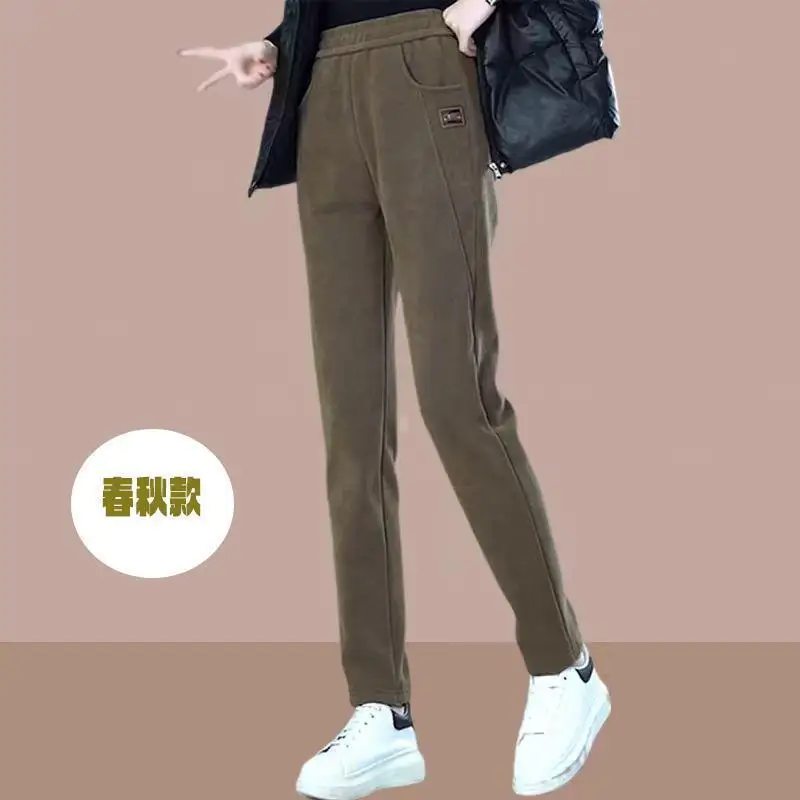 

Осень-зима 2026, новые корейские женские бархатные повседневные брюки Харлан, женские узкие брюки, теплые толстые простые свободные брюки.