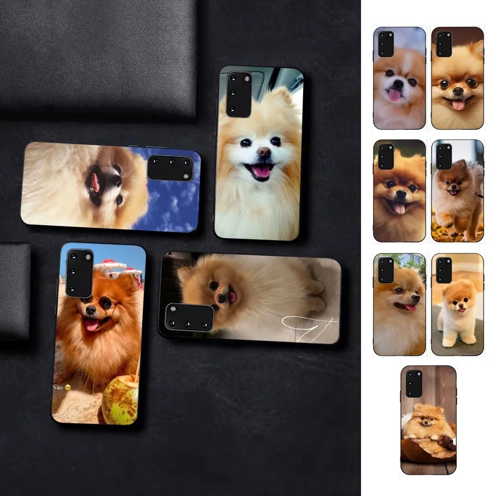 Cute Pomeranian Dogs Phone Case For Samsung S 9 10 20 21 22 23 30 23plus lite Ultra FE S10lite Fundas