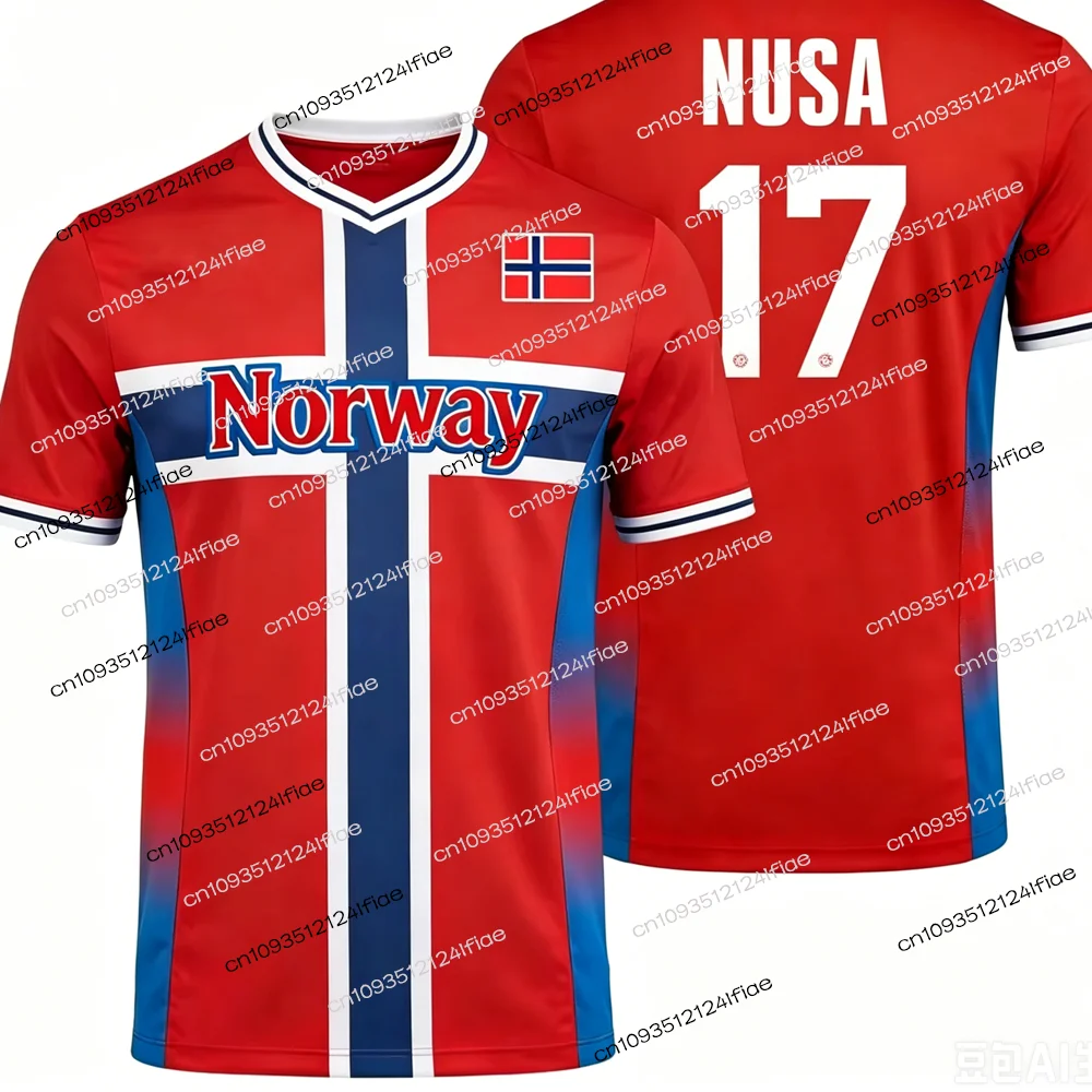 2026 Norway Style Men's Football Sports T-Shirt HAALAND Special Edition Football Jersey Outdoor Quick-Drying T-Shirt Casual Wear image 5