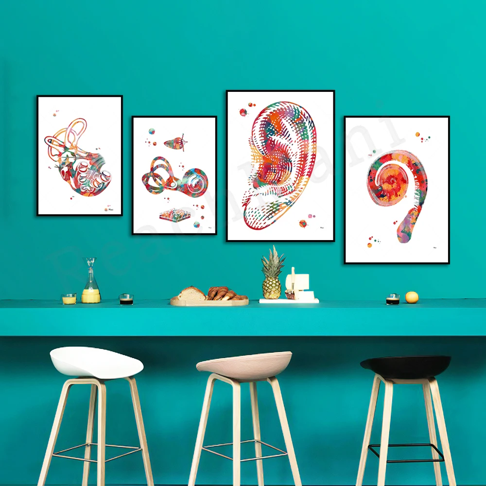 

Cochlear implant, inner ear hair cells, audiology poster vestibular system inner ear structure incus stapes speech therapy art