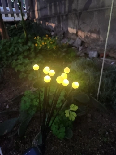 리뷰 사진
