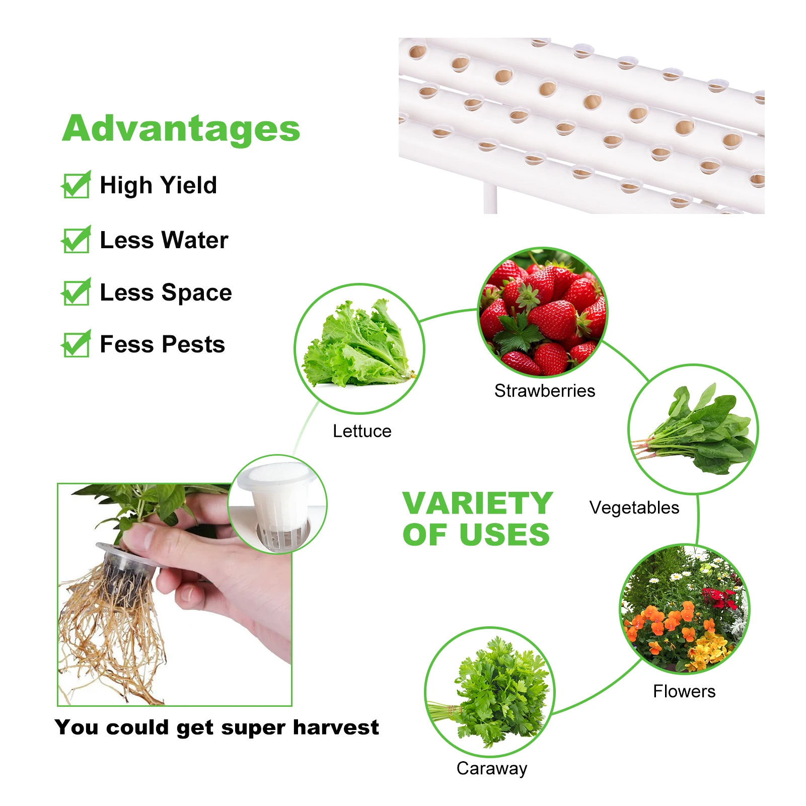 نظام زراعة مائي بـ 36 موقعًا، - مراجعة Hydroponic Growing System 36 Site وسعره