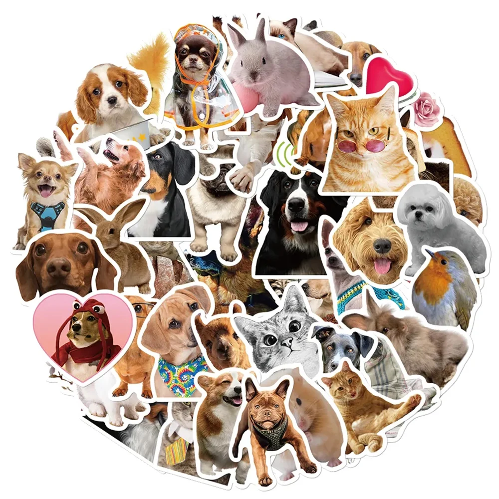 10/30/52 قطعة مضحك الكرتون الحيوان ميمي ملصقات لطيف القط الكلب الشارات Skateboard بها بنفسك سكيت الهاتف الأمتعة خوذة الكتابة على الجدران ملصق للهدايا #3