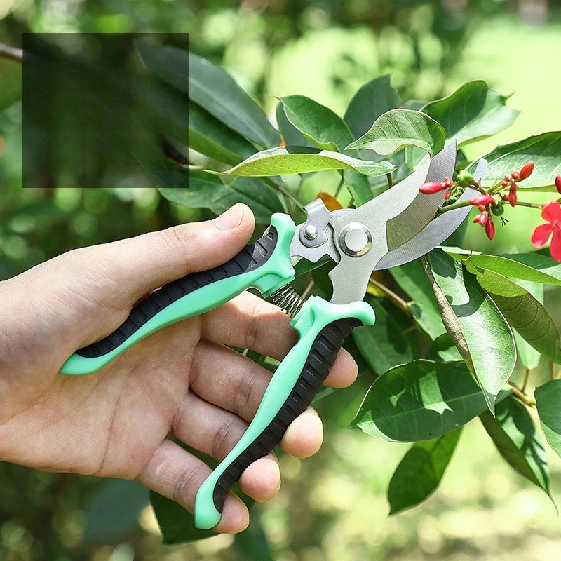 3-Pack Stainless Steel Pruning Shears, Pruning Snips and Clippers for Gardening，Multi Purpose Tools for Fruit Tree Gardens