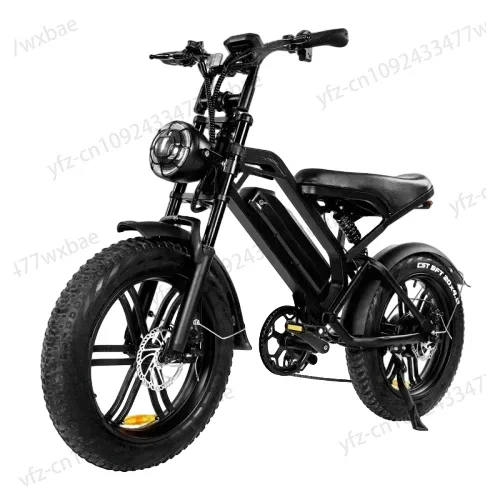 

1000W 48V 20AH Back Seat Fat Tire Electric Bike Beach Cruiser Off-Road Electric Bike Adult Mountain Electric Bike