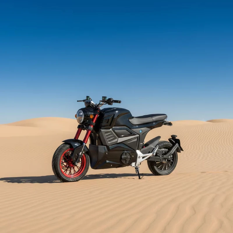 Fast professional adult touring racing bikes, 2000w 3000w electric motorcycles