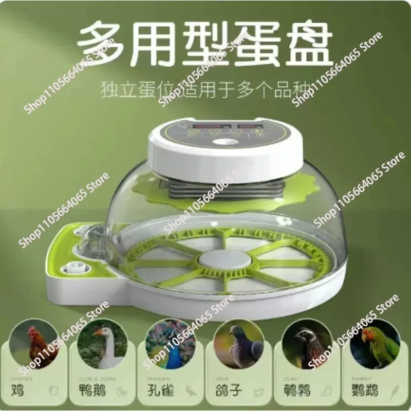 Incubator small automatic intelligent rutin chicken parrot bird egg   for home use 1pcs