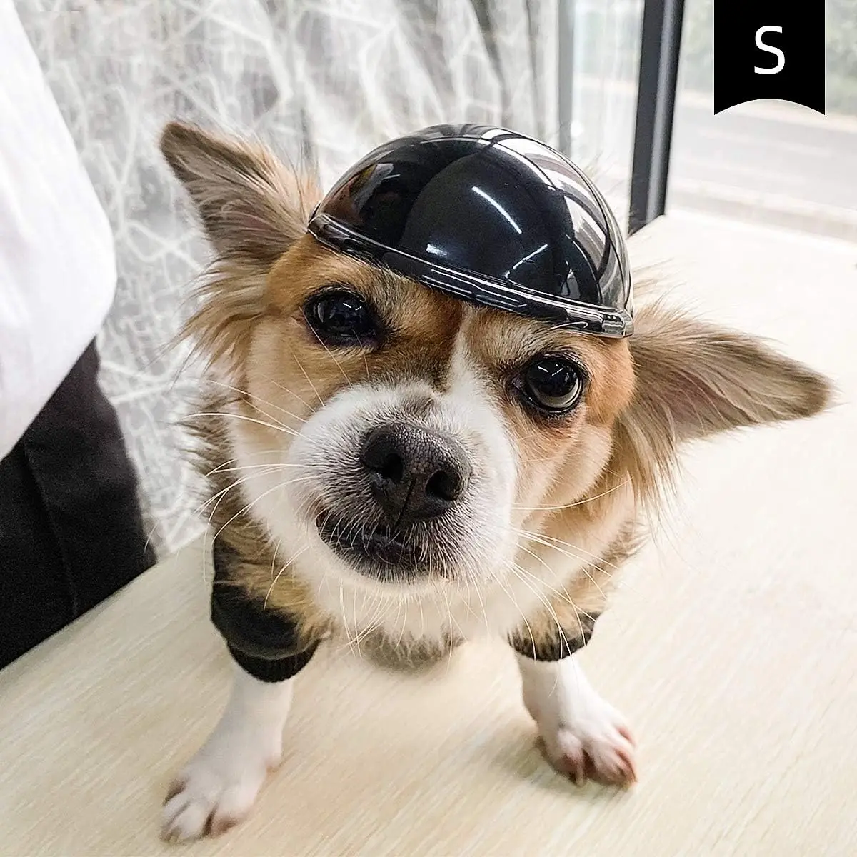 Small Pet Dog cat Helmet Motorcycle Pet Hard Hat Outdoor Bike Pet Cap for small Doggies Cats Safety Hat for Biking Cycling black