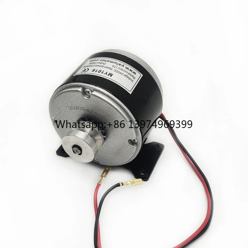 High-Power 24V 36V 300W Motor Kit with Pulley for Material Handling MY1016 DC Brush Motor