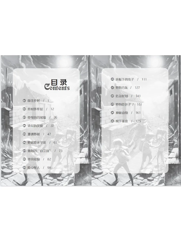 Livro-Winshare The Strange Array Of The Wasteland Village à noite