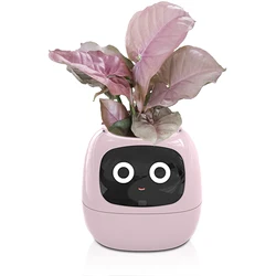 Premium Planter Automatic Suction Planter Intelligent Plant Pots Desktop Small Planters with LED Screen for Desktop Decoration