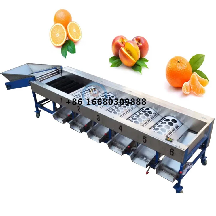 Hot Efficiency Orange Mango Avocado Fresh Lemon Citrus Fruit Grading Sorter Washing Sorting Machine