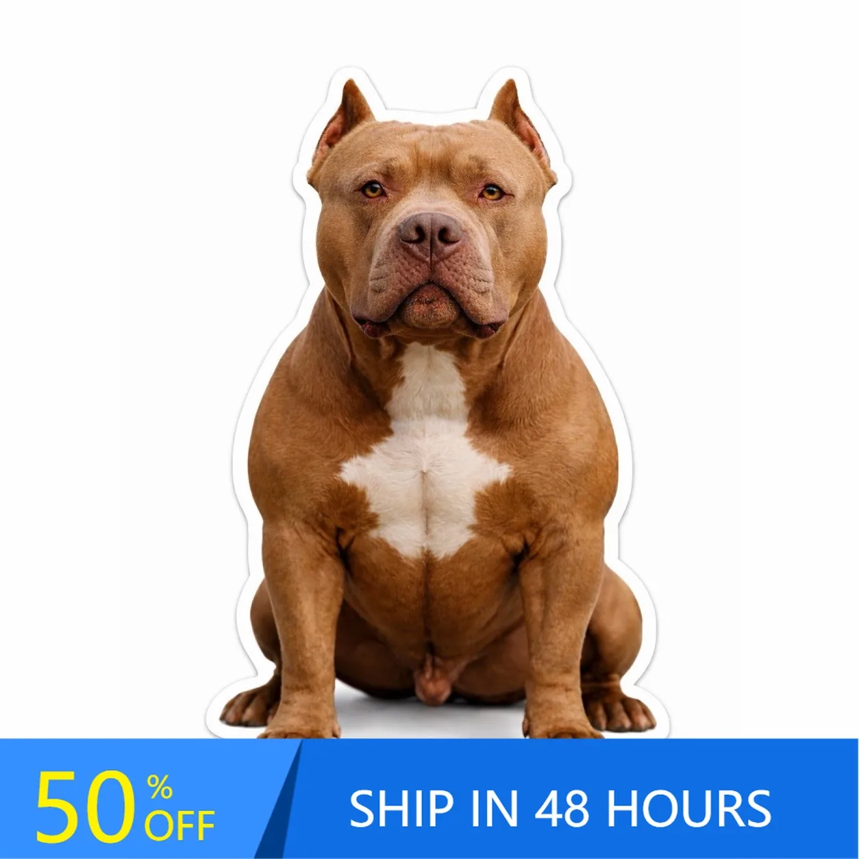 

American Pit Bull Bully Cool Car Window Walls Laptop Accessory Unique Retro