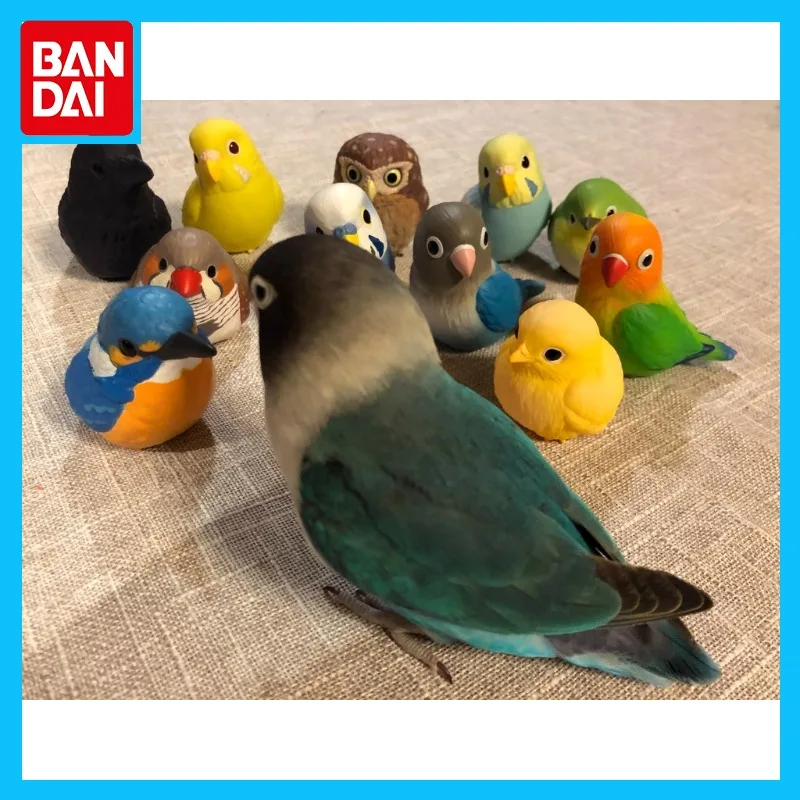

Bandai Original Handheld Little Cute Friend Anime Figure Bird Bird Owl Parrot Crow Action Figure Toys for Boys Girls Kids Gift