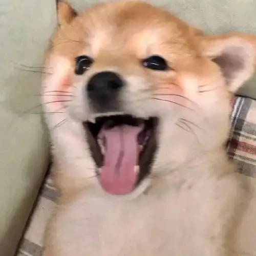 

I'm watching you camera pickup truck window glass car motorcycle off-road modification decoration waterproof vinyl sticker