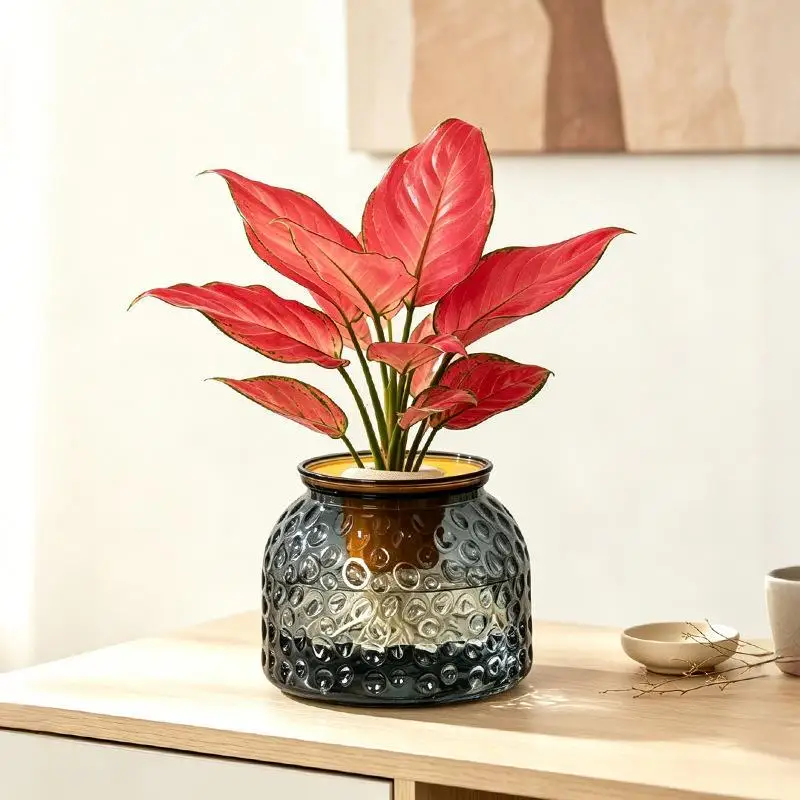 Mini Self Watering Flower Pot Fish Tank Transparent Plastic Plant Pots Self Watering Planter Pot Vase For Home Decoration