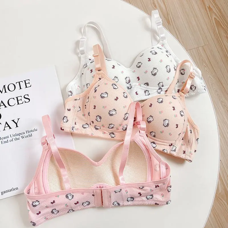 Cute Sweet Hello Kitty Underwear, Women's Thin Design Bras No Steel Hoop, Anti sagging, Side Breasts, Breathable, Student