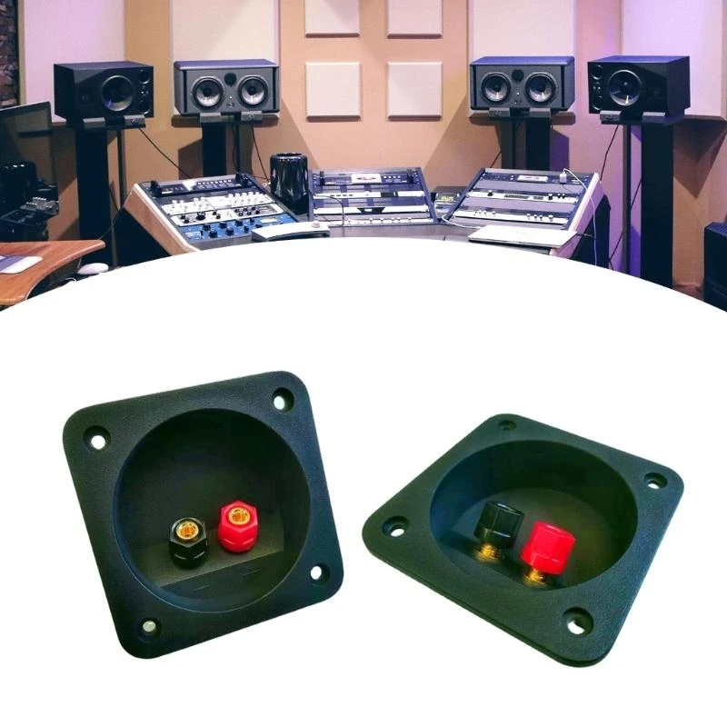 2 -й путь клемм для чашки разъемов для ящика для динамика сабвуфер банановые терминалы квадратный винт тип черного цвета динамик