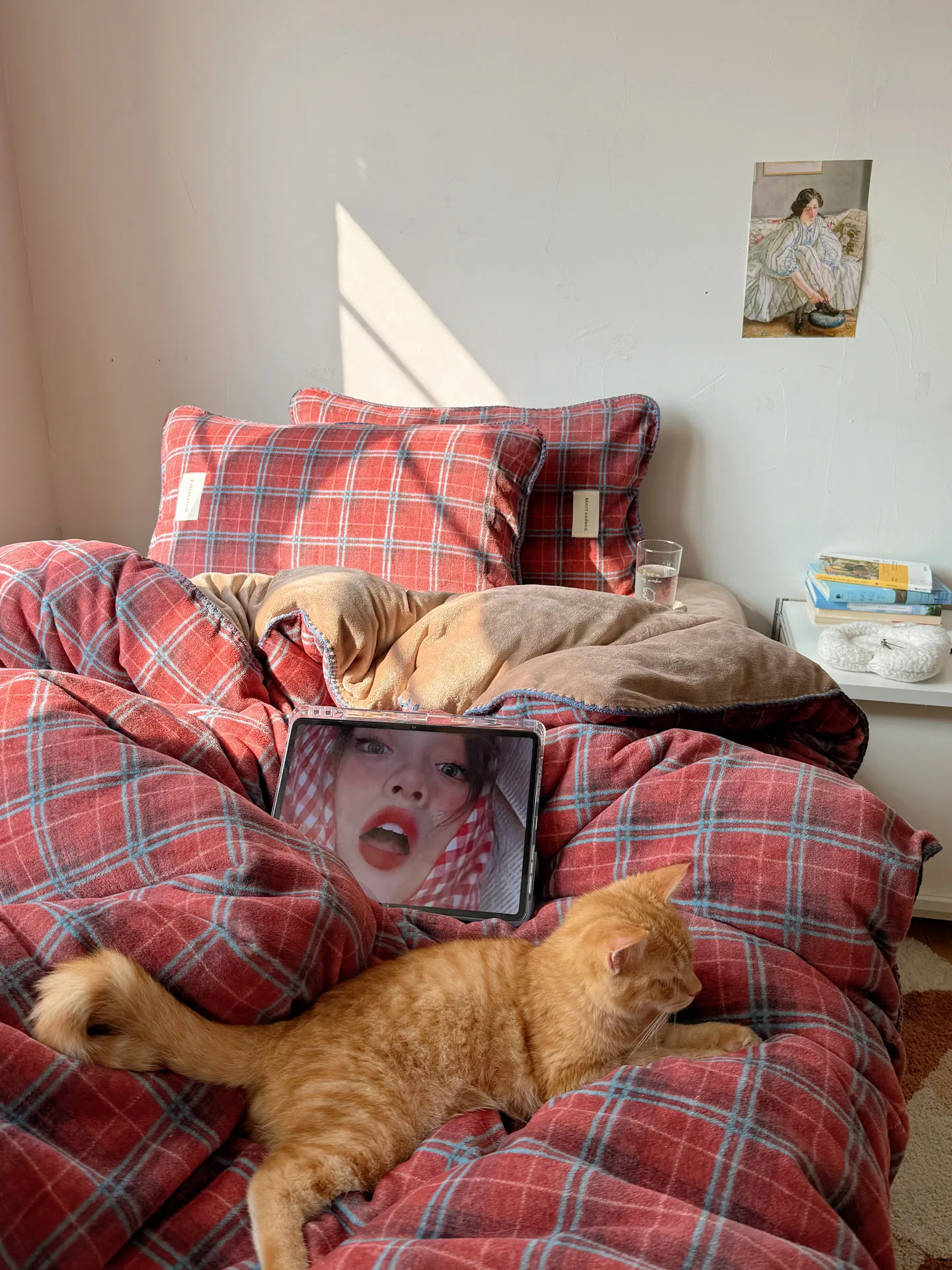 

Утолщенный красный клетчатый осенне-зимний комплект постельного белья из молочного вельвета, двусторонний флис, 8M, ретро-дизайн, покрывало-одеяло Moonlight