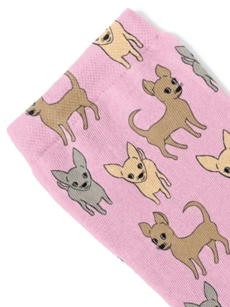 Chihuahua chihuahuas - pink Socks christmas gift christmass gift Woman Socks Men's