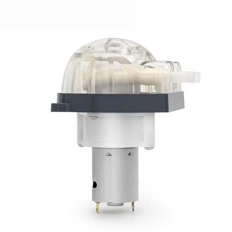 For 12V/24V peristaltic water treatment pump, dosing pump manufacturer with low voltage DC motor