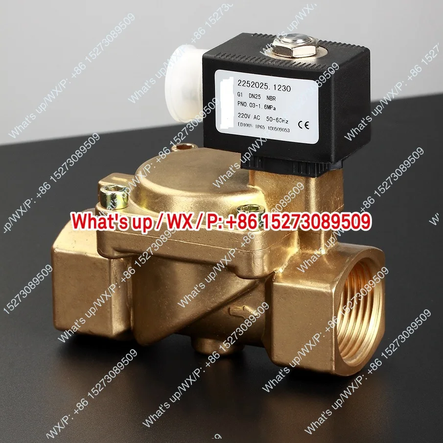 Spot supply, two-position two-way solenoid valve, pilot type, brass material 225205.1230