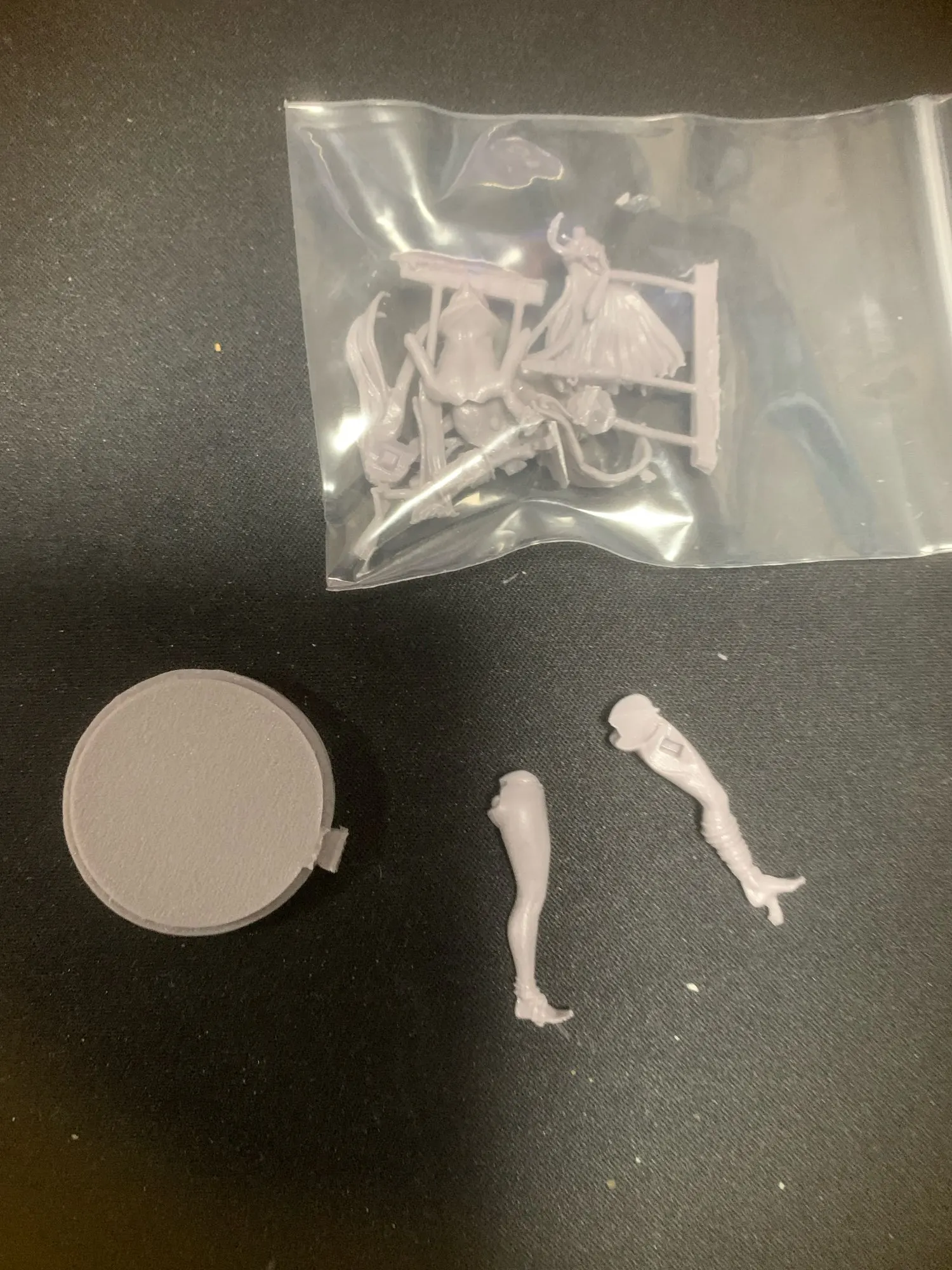 Buyer photo of this resin kit