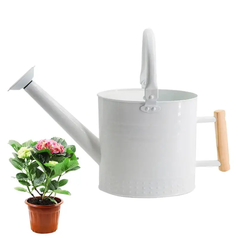 

Watering Can Indoor Long Spout Indoor Outdoor Flower Watering Can 1 Gallon Houseplants Watering Bottle With Wooden Handle