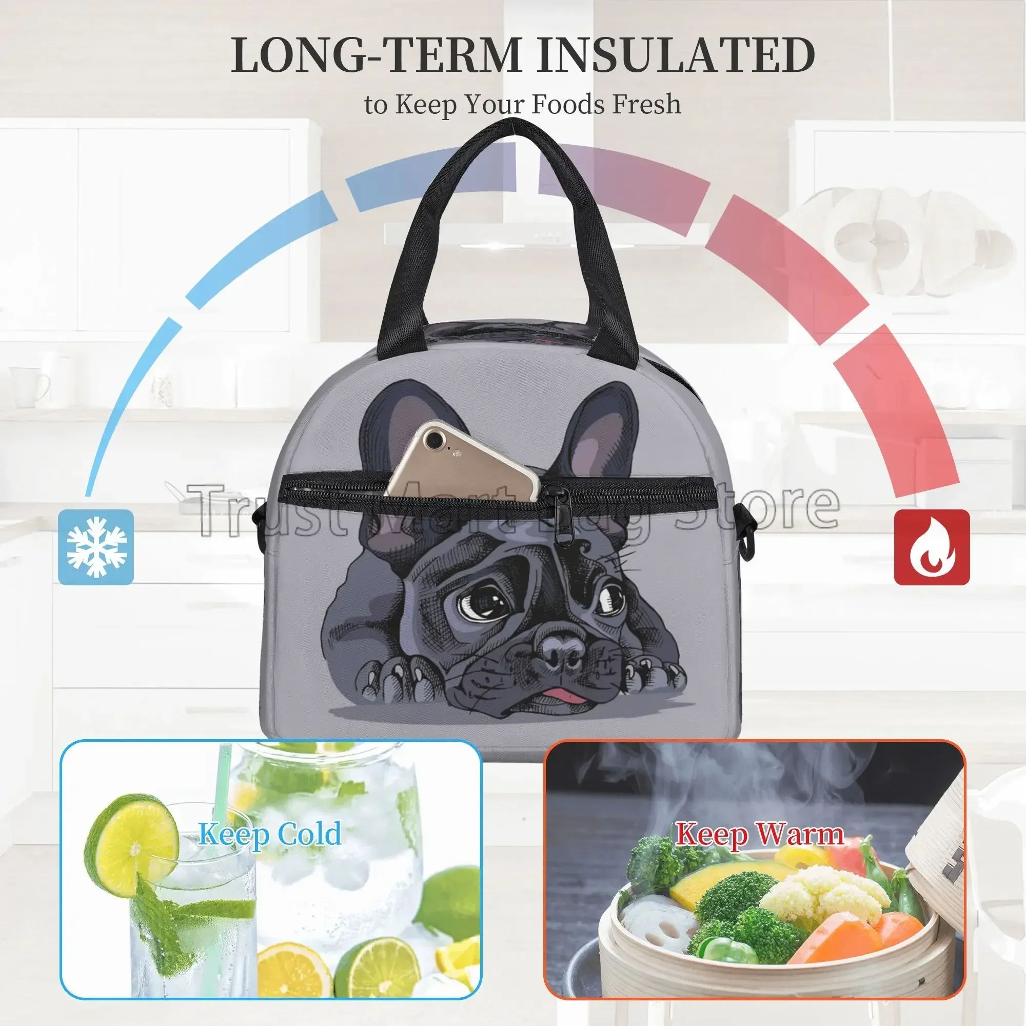 French Bulldog Art Thermal Lunch Bag Funny Bento Tote Bags for Adults Kids Portable Insulated Lunch Box for Picnic Work School