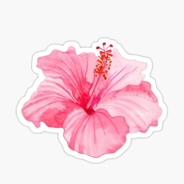 Pink Hibiscus  5PCS Stickers for Bumper Decor  Living Room Print Window Decorations Laptop Art Room Cartoon Kid Home Cute Anime