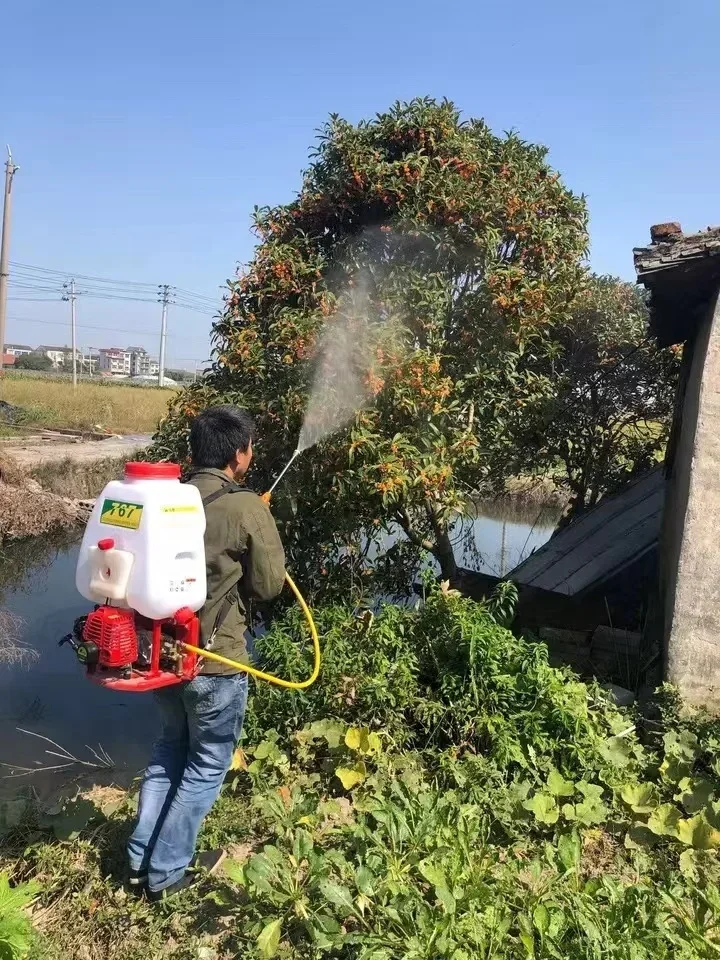 بخاخ المعدات الزراعية الزراعية 25L 4 السكتة الدماغية 139F محرك البنزين على ظهره بخاخ الطاقة